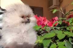 WhatsApp-Image-2019-06-05-at-15.49.031